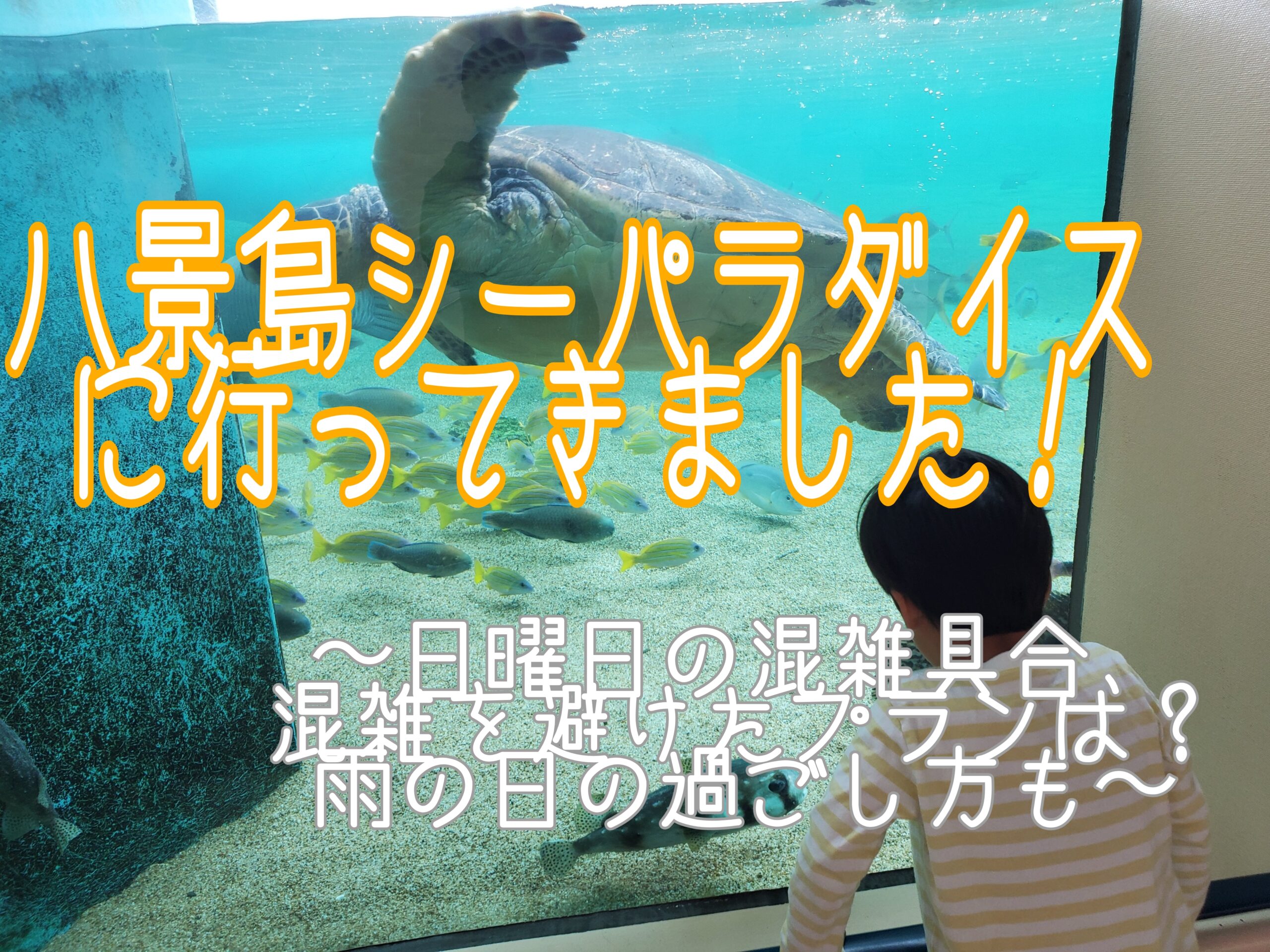 八景島シーパラダイスに行ってきました 日曜日の混雑を避けたプランは 雨の日の過ごし方も ギラリュウ機関