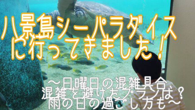 水族館アイキャッチ画像